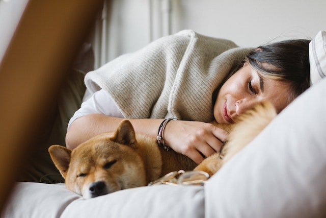 Do Dogs Dream In The Same Way As Humans?
